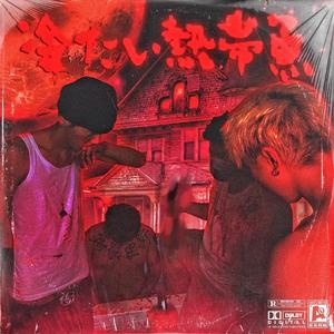 国产欧美日韩在线观看无需安装
