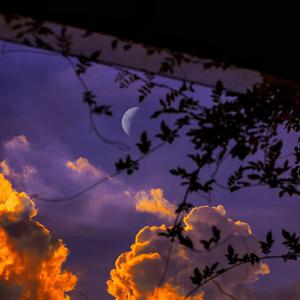 国产欧美日韩在线观看无需安装
