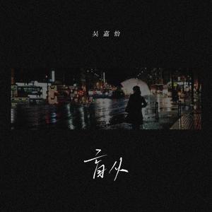 国产欧美日韩在线观看无需安装
